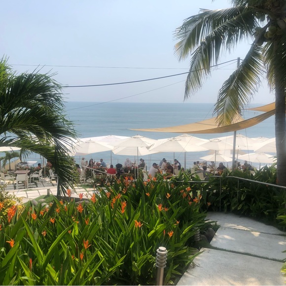 Meet your Posher, Elena - Picture 2 of 2